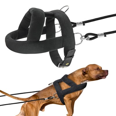 leash training harness