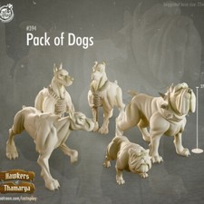 Pack of Dogs Miniatures  D D DnD 