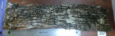 Natural White Silver Birch Bark Sheet Strip Sustainably Harvested Craft DIY 16x4