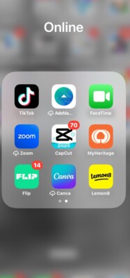 iPhone 13 Pro Max Unlocked Smartphone 128GB TikTok & Lemon8 