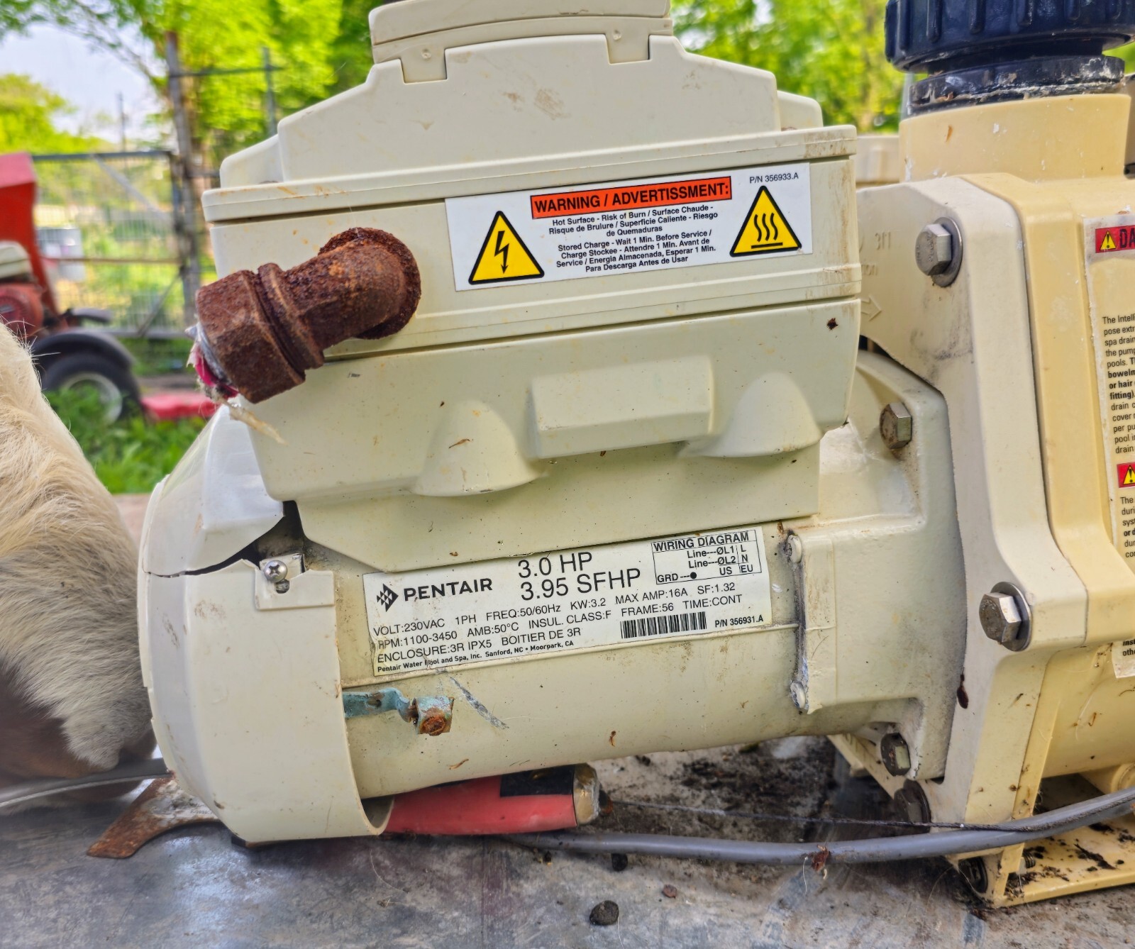 Pentair Intelliflo VSF Variable Speed And Flow Pump 011056 3Hp | eBay