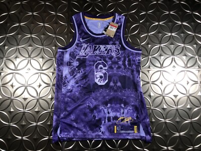 Lebron James LA Lakers Nike Select Jersey #6 Mens Large