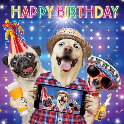 geburtstagskarte happy geburtstag slefie hunde lustig kulleraugen 3d bewegen ebay