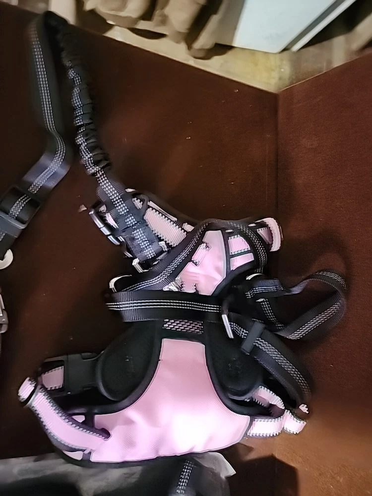 Dog Harness #PET  Stretch Lease Harnes And Dog Running Lease That Dooks To Your