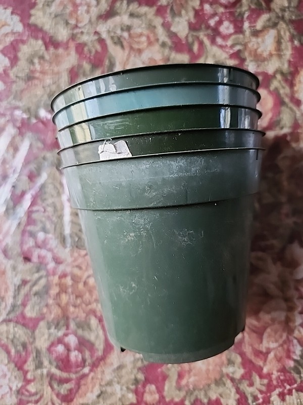 5 Green Plastic Pots 3.5"h X 3.75"w 