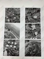 Surveillance Photos American Made (2017)