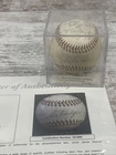 Gil Hodges Sweet Spot 1965 Washington Senators Team Signed AL Baseball JSA COA