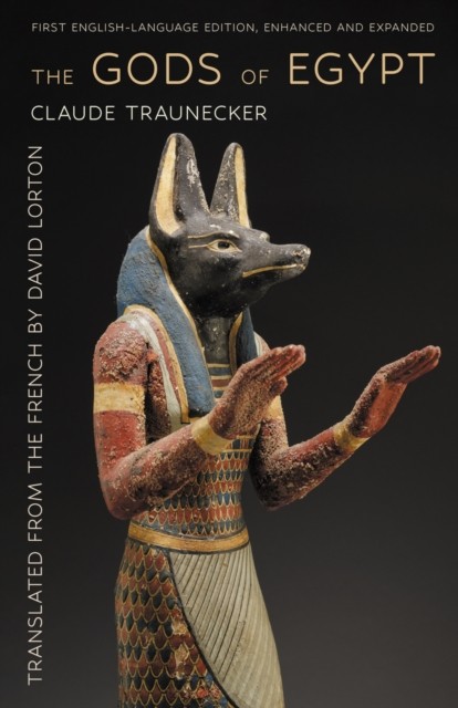 The Gods of Egypt by Claude Traunecker PAPERBACK 9781501784385