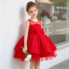 Flower Girl Wedding Party Dress Kids Girls Puffy Lace Tulle Princess Ball Gown
