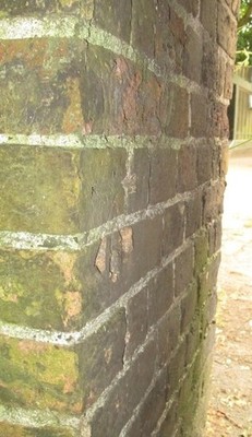 Foto 6x4 Ordnance Survey Schnittmarke Hampstead\/TQ2685 Diese OS Schnittmarke Dose c2016