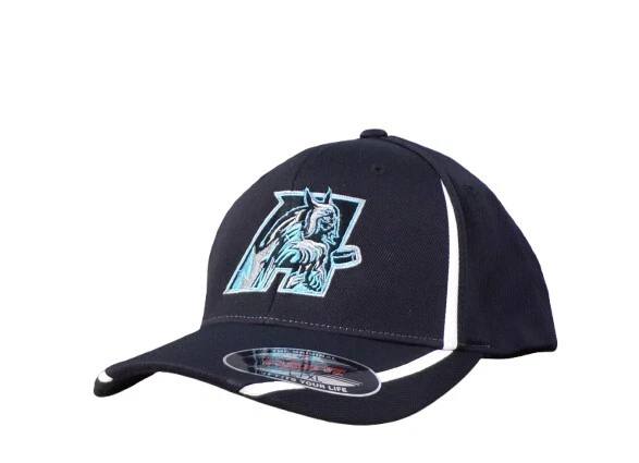 Flexfit ECHL Hockey Augusta Lynx Embroidered Hat Ball Cap New