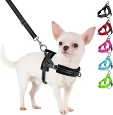 No Pull Small Dog Harness & Leash Set, Puppy Soft Vest Harness Neck & Chest - M