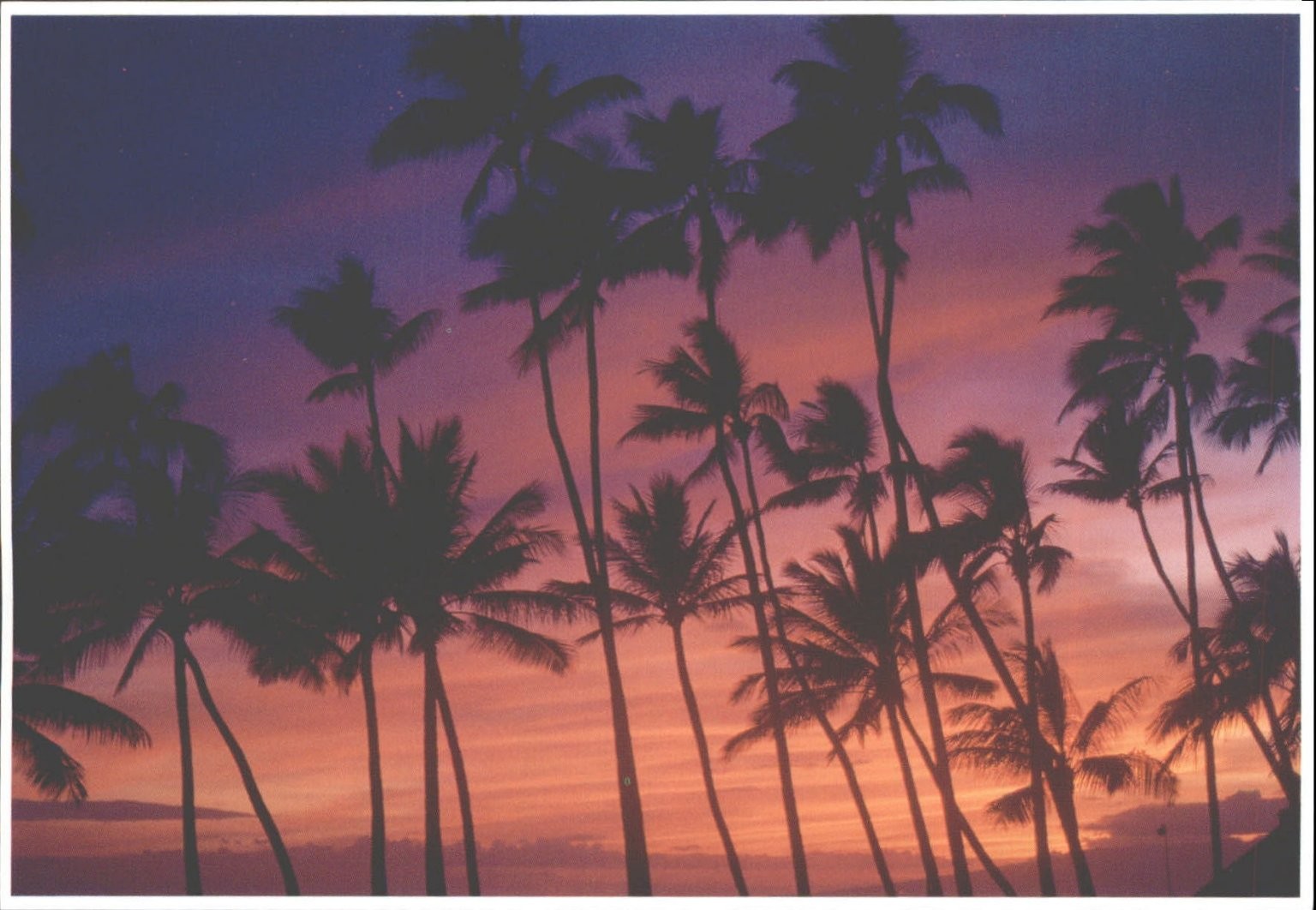 Dreamy Hawaiian Sunset Postcard Waikiki Palm Trees Island Heritage S-107