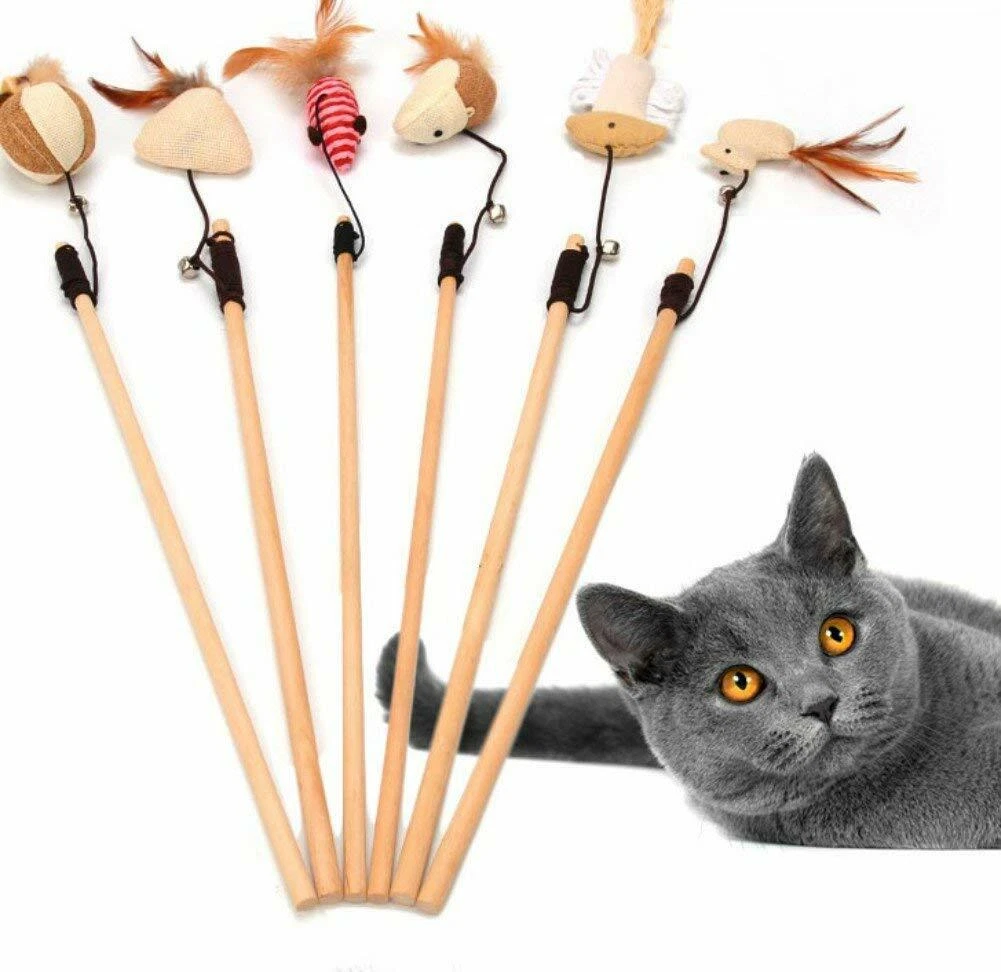 Cat hotsell catcher toy