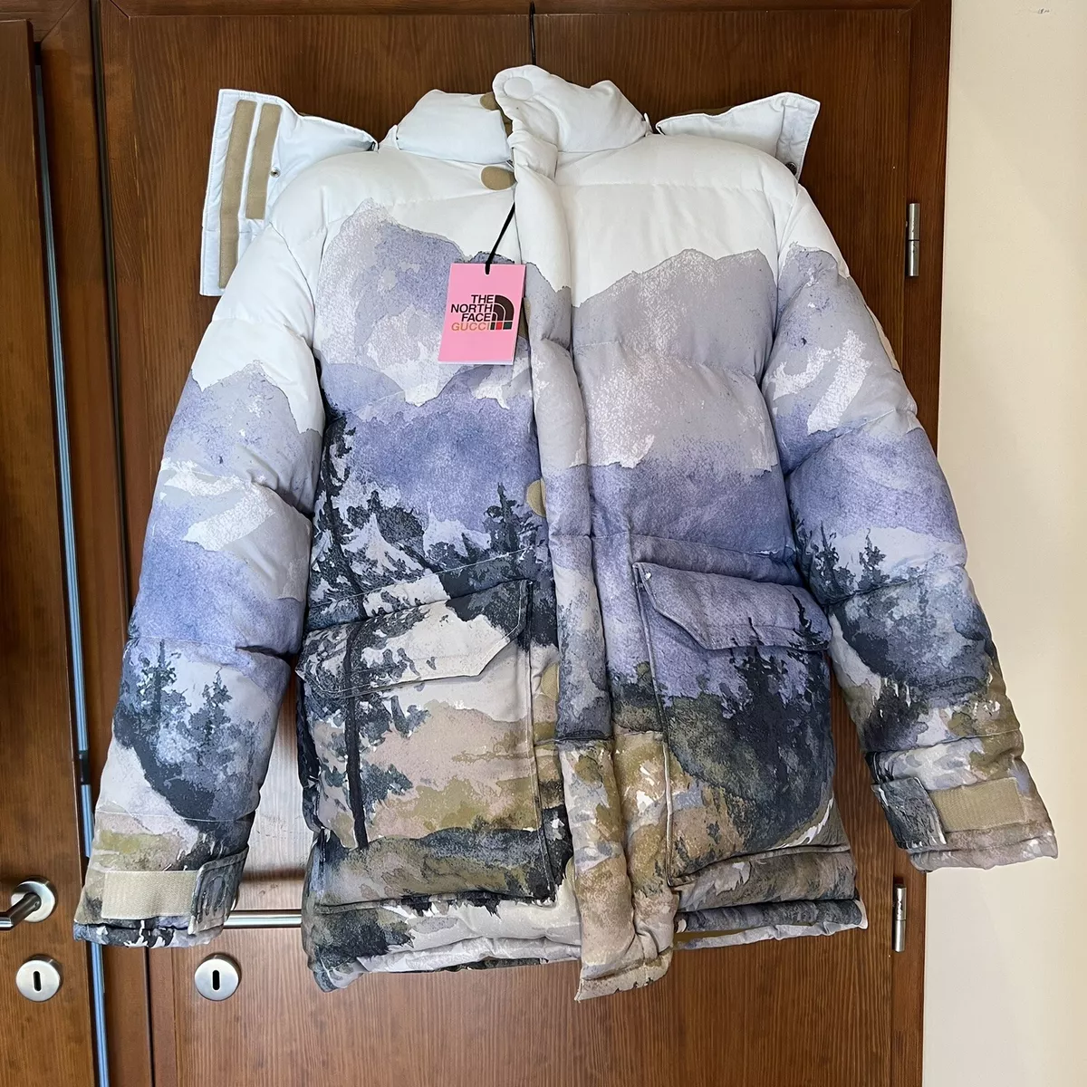 Gucci X North Face Gucci Puffer Jacket In All Sizes