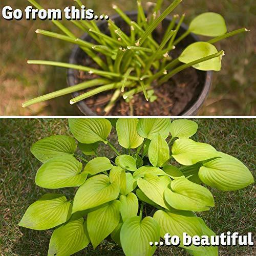 I Must Garden Deer Repellent All Season Spray 32 oz Trigger for sale