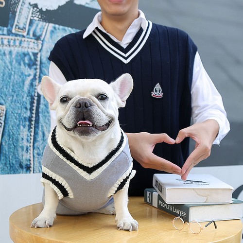 Knitted Dog Sweater Chihuahua Clothes Winter Knitwear Pet Cat Puppy Jumper Vest - Picture 4 of 16