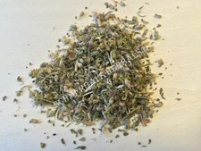 Catnip, Nepeta cataria, Leaf and Flower ~ Sch...