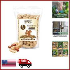 1 Pound Raw Peanuts in Shell for Birds, Squirrels, and Deer - All-Natural Food