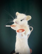 Taxidermy Naughty Little Caffeinated Mouse Horror Gothic Weird Gift Homeware