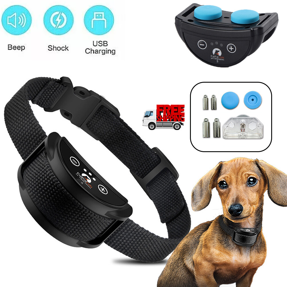 Anti Bark Pet Resolve Training Collar Pet Resolve Full Set