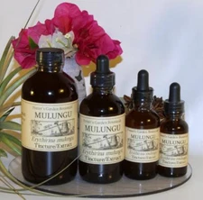 MULUNGU Bark Extract ~ Powerful Folk Tincture ~ Multiple Sizes Amber Bottles