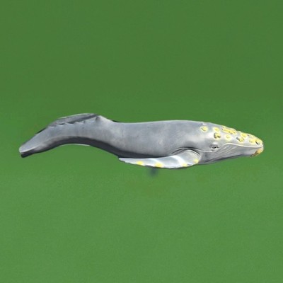 COMINGS whale living 白盤　live会場限定　中古 80S Vintage SET 3 Giant Sea Life ORCA HUMPBACK WHALE DOLPHIN Fast