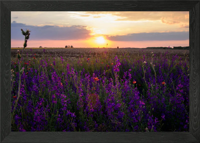 Last Minutes of Sunlight Framed Wall Art Poster Canvas Print Picture