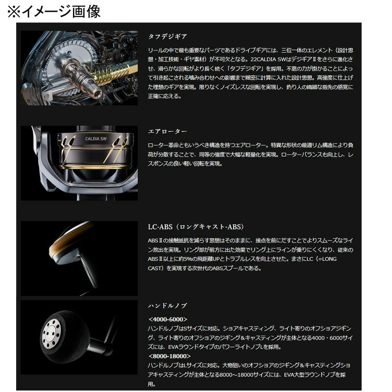 Daiwa 22 CALDIA SW 4000D-CXH Saltwater Spinning reel Casting