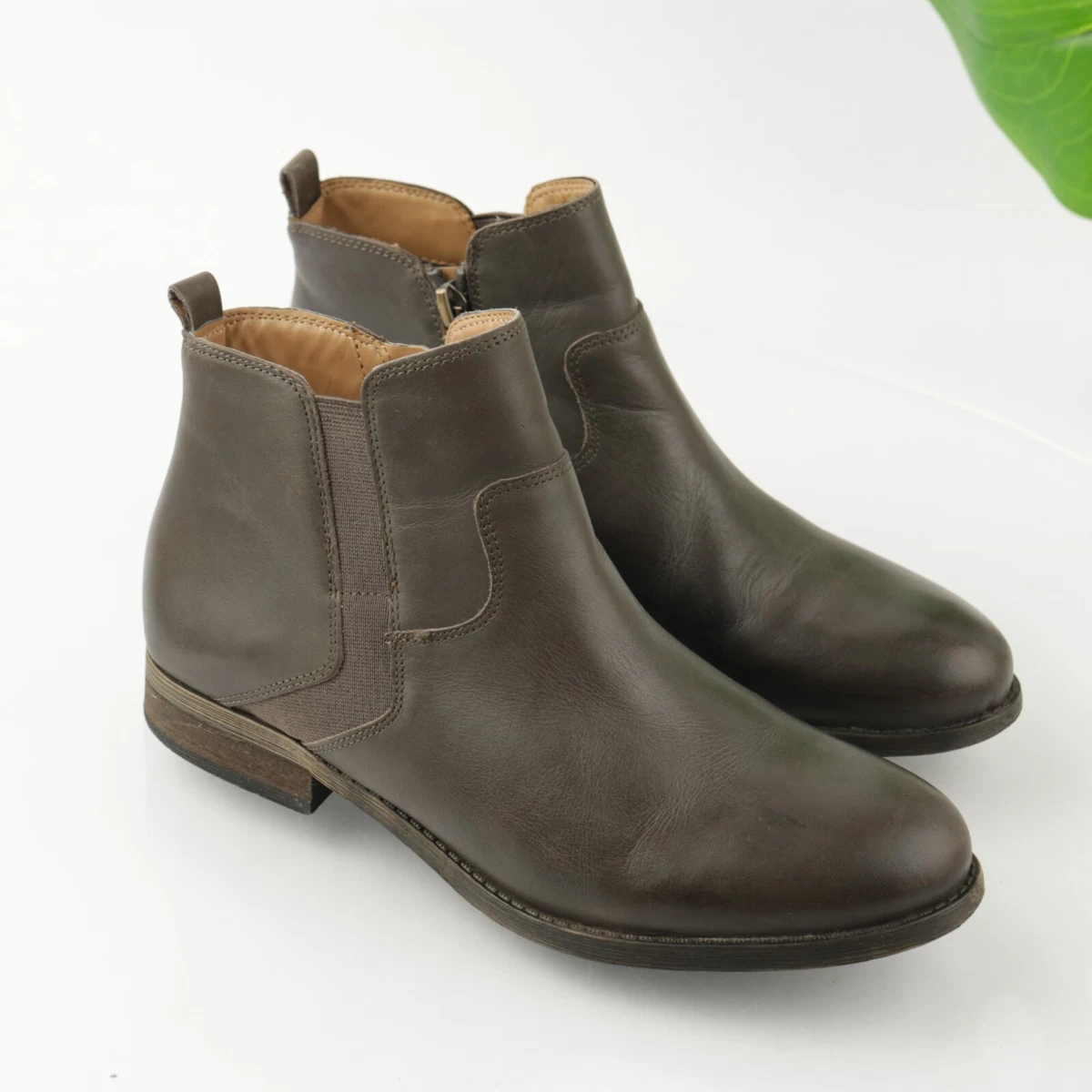 Franco clearance sarto kampton