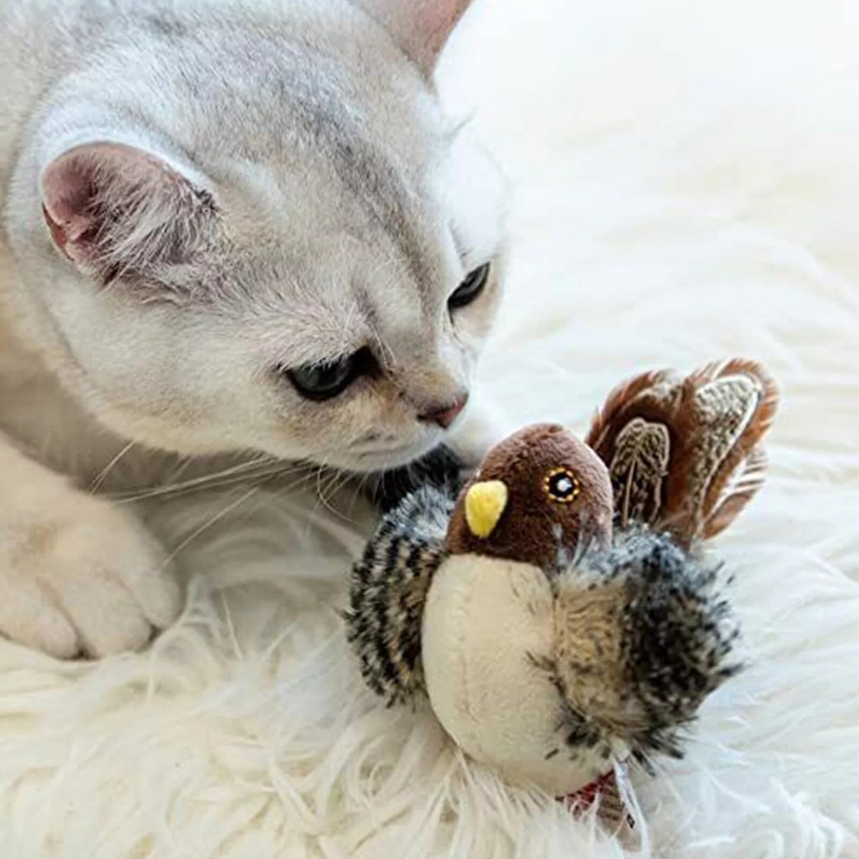 Potaroma Cat Toys Flapping Bird (No Flying), Lifelike Sandpiper Chirp