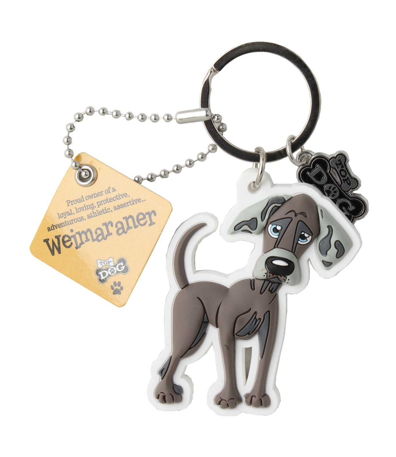 A Collection Of Dog Faces Illustrated In A Grid. Breeds Include Labrador, Chihuahua, German - Foto 7