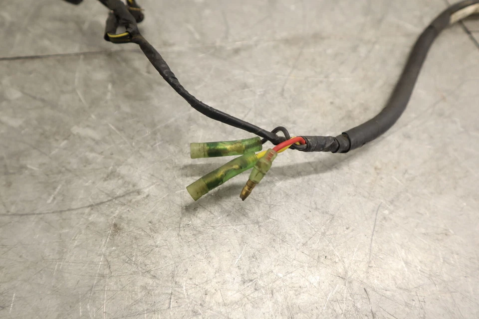 KAWASAKI KLX250 KLX250R KLX300 KLX300R FABRICANTE DE EQUIPOS ORIGINALES CABLEADO MOTOR ARNÉS DE CABLEADO Foto 2 de 4