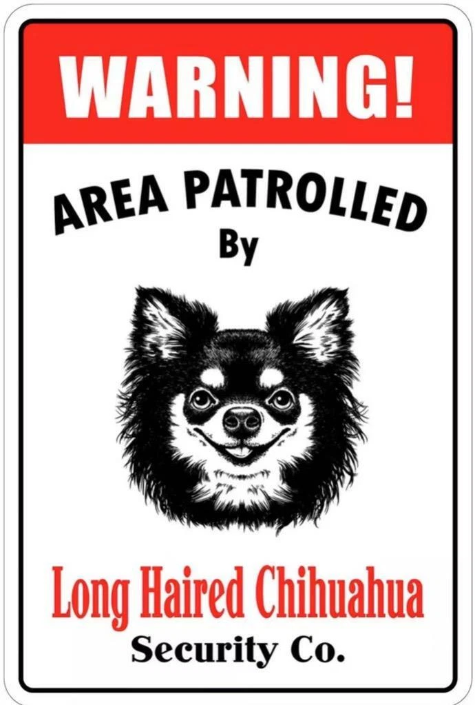 Chihuahua gate cheap