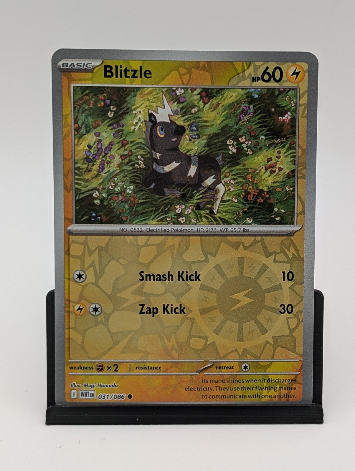 Blitzle Reverse Holo #031/086 SV: White Flare Near Mint or Better