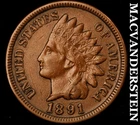 1891 Indian Head Cent - Scarce  Extra Fine+  Better Date  No Reserve  #J8266