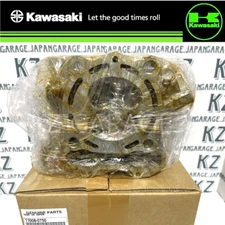 KAWASAKI GENUINE 2013-2014 KX250F Cylinder Head 11008-0750 NEW