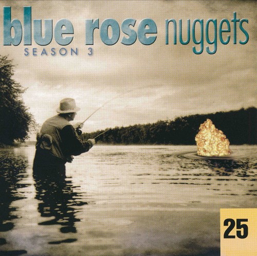 Various - Blue Rose Nuggets 25 (CD, Enh, Smplr) (Very Good Plus (VG+)) - 第 1/5 張圖片