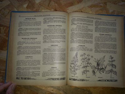 GUIDE CLAUDE. TRAITÉ des travaux du jardinage - COLLECTIF - 1974 EUR 35