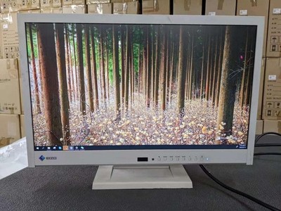 EIZO FlexScan EV2116W 21,5 Zoll LCD Monitor HDMI D-Sub DVI TN Panel