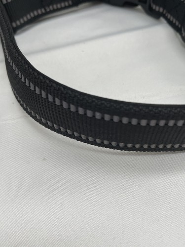 Dog Collar & Leash 1 Inch 15 In Neck 56 In Leash - Picture 4 of 4