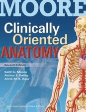 Clinically Oriented Anatomy - Paperback By Keith L. Moore - GOOD