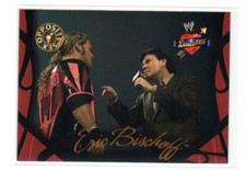 ERIC BISCHOFF 2004 FLEER DIVINE DIVAS #70   (ID N811)