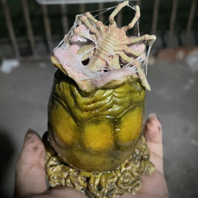 Alien vs. Predator ALIEN EGG Statue Resin Model Display with Reptile Version