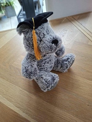 Clintons Abschlussbär Plüschtier 18 cm sitzend