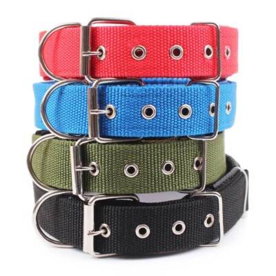 Massives Premium Glow Tuff D Ring Hundehalsband mit Messing Namensschild Collar