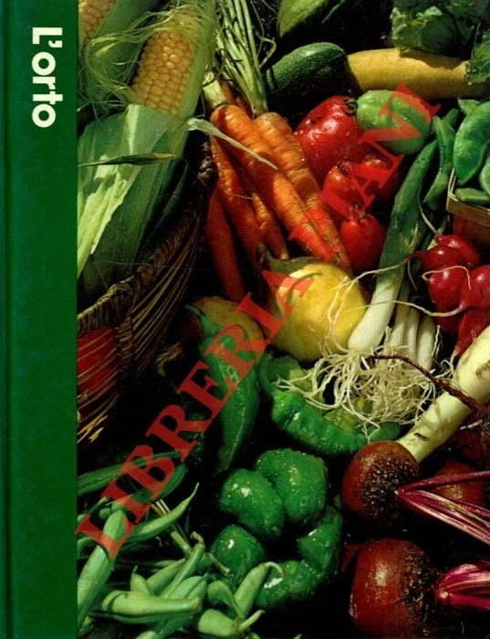 Foto 1 di 1