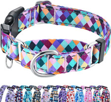 Reflective Martingale Collar for Dogs with Quick Release Buckle No Pull Training