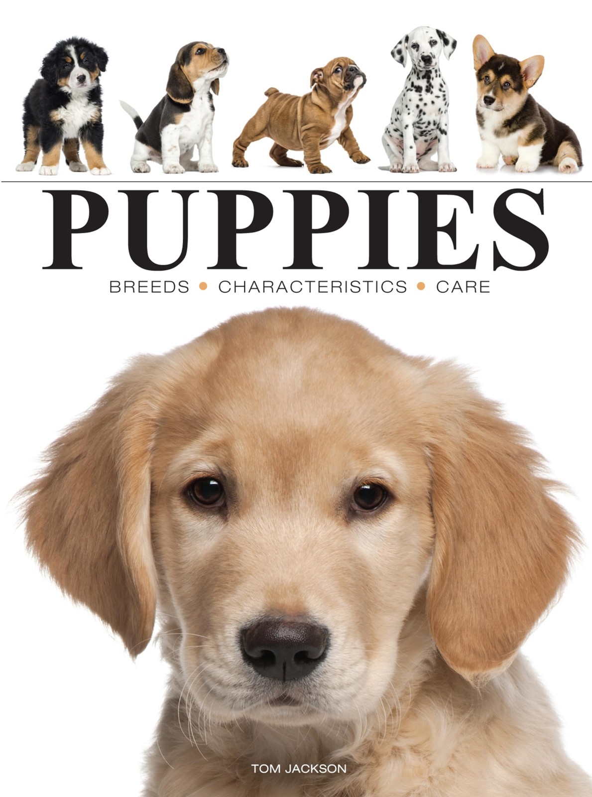 Puppies by Tom Jackson (Paperback Book) - Image 6