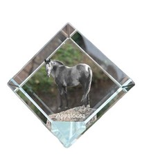 Appaloosa dé à cheval Art-Dog